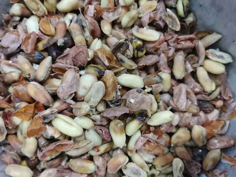 色选机|食品色选机|再生资源色选机|矿石色选机|履带色选机