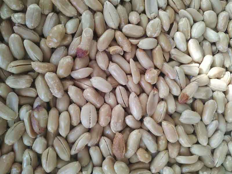 色选机|食品色选机|再生资源色选机|矿石色选机|履带色选机