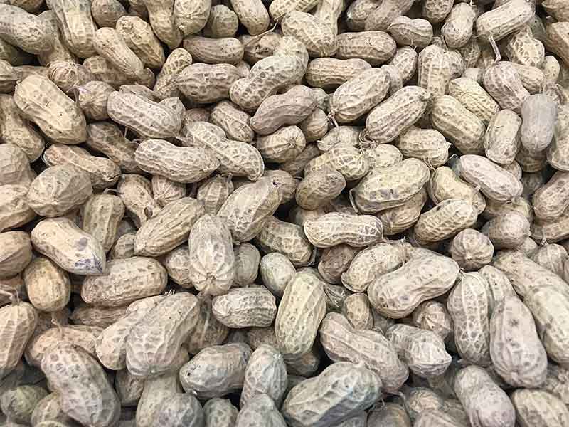 色选机|食品色选机|再生资源色选机|矿石色选机|履带色选机