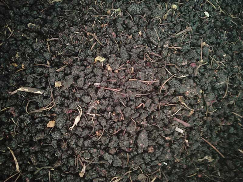 色选机|食品色选机|再生资源色选机|矿石色选机|履带色选机