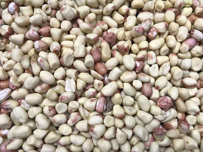 色选机|食品色选机|再生资源色选机|矿石色选机|履带色选机