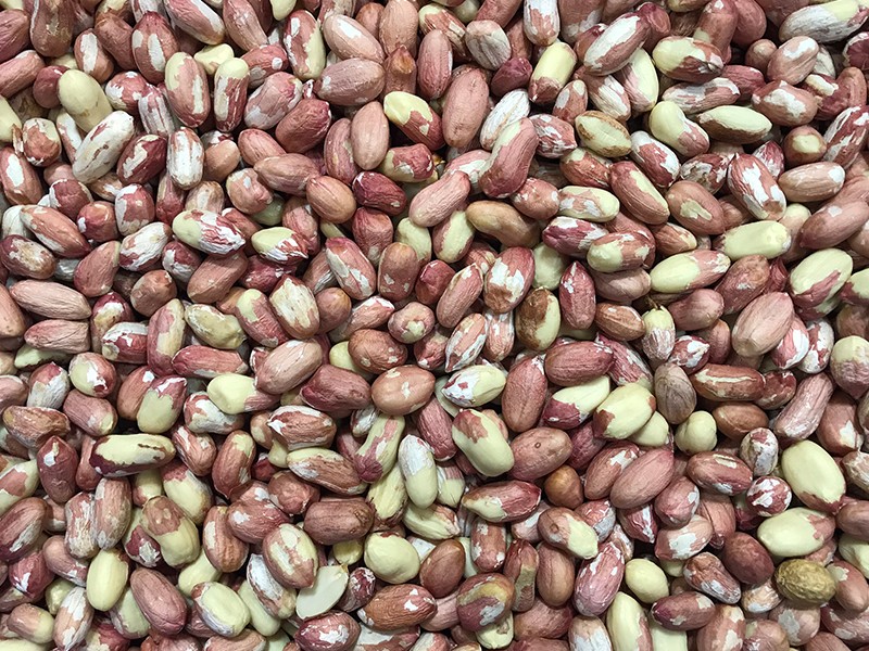 色选机|食品色选机|再生资源色选机|矿石色选机|履带色选机