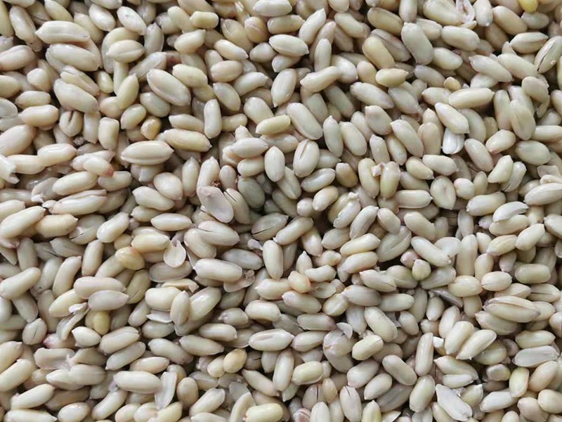 色选机|食品色选机|再生资源色选机|矿石色选机|履带色选机