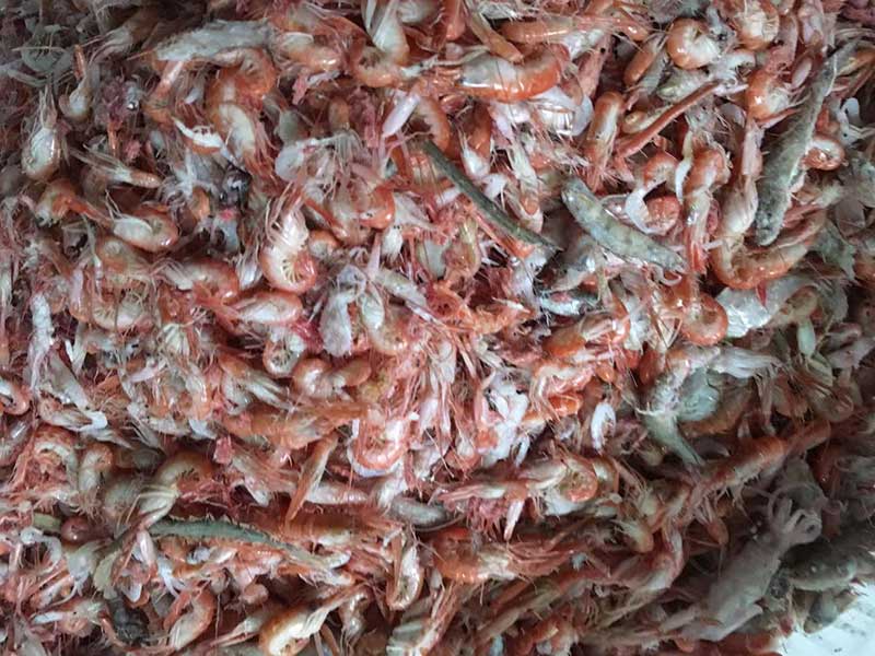 色选机|食品色选机|再生资源色选机|矿石色选机|履带色选机