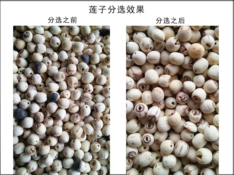 色选机|食品色选机|再生资源色选机|矿石色选机|履带色选机