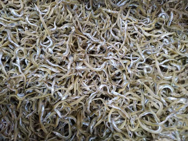 色选机|食品色选机|再生资源色选机|矿石色选机|履带色选机