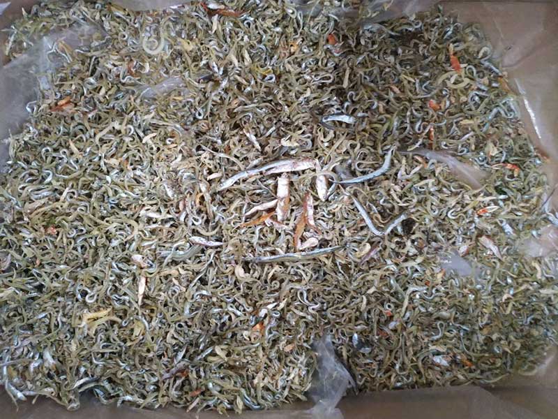 色选机|食品色选机|再生资源色选机|矿石色选机|履带色选机