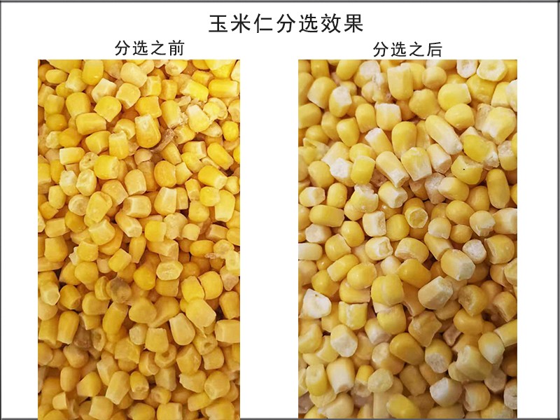 色选机|食品色选机|再生资源色选机|矿石色选机|履带色选机