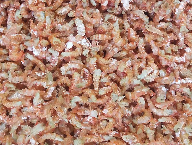 色选机|食品色选机|再生资源色选机|矿石色选机|履带色选机