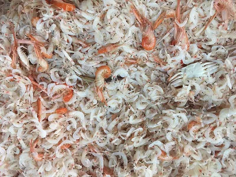 色选机|食品色选机|再生资源色选机|矿石色选机|履带色选机