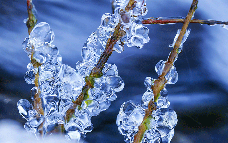 色选机|食品色选机|再生资源色选机|矿石色选机|履带色选机
