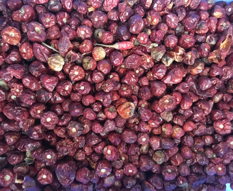 色选机|食品色选机|再生资源色选机|矿石色选机|履带色选机