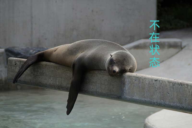 色选机|食品色选机|再生资源色选机|矿石色选机|履带色选机