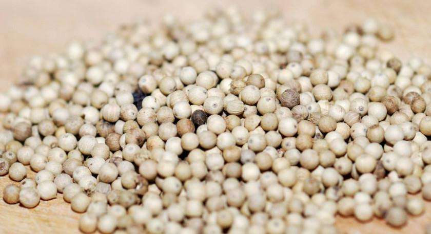 色选机|食品色选机|再生资源色选机|矿石色选机|履带色选机