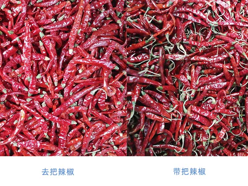 带把辣椒对比.jpg