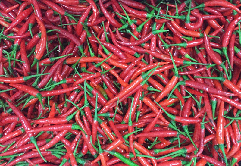 新鲜辣椒好料图改.jpg
