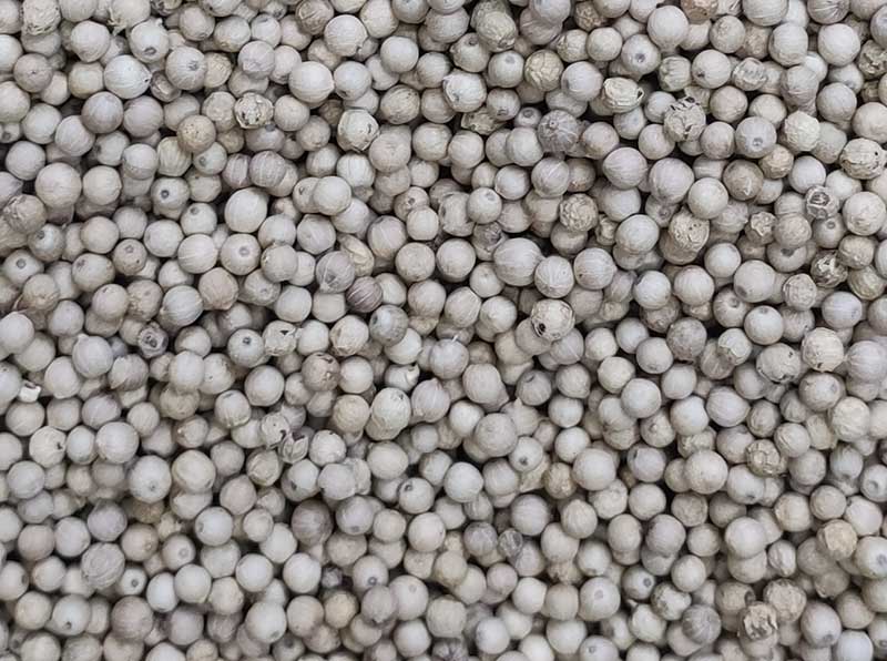 色选机|食品色选机|再生资源色选机|矿石色选机|履带色选机