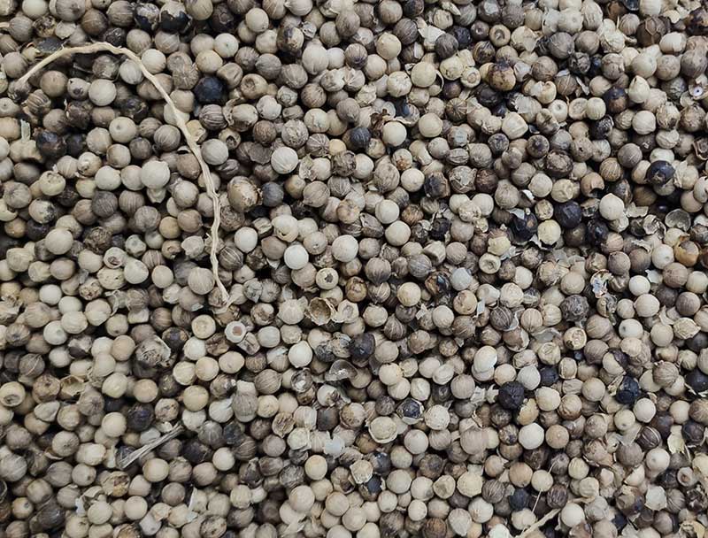 色选机|食品色选机|再生资源色选机|矿石色选机|履带色选机