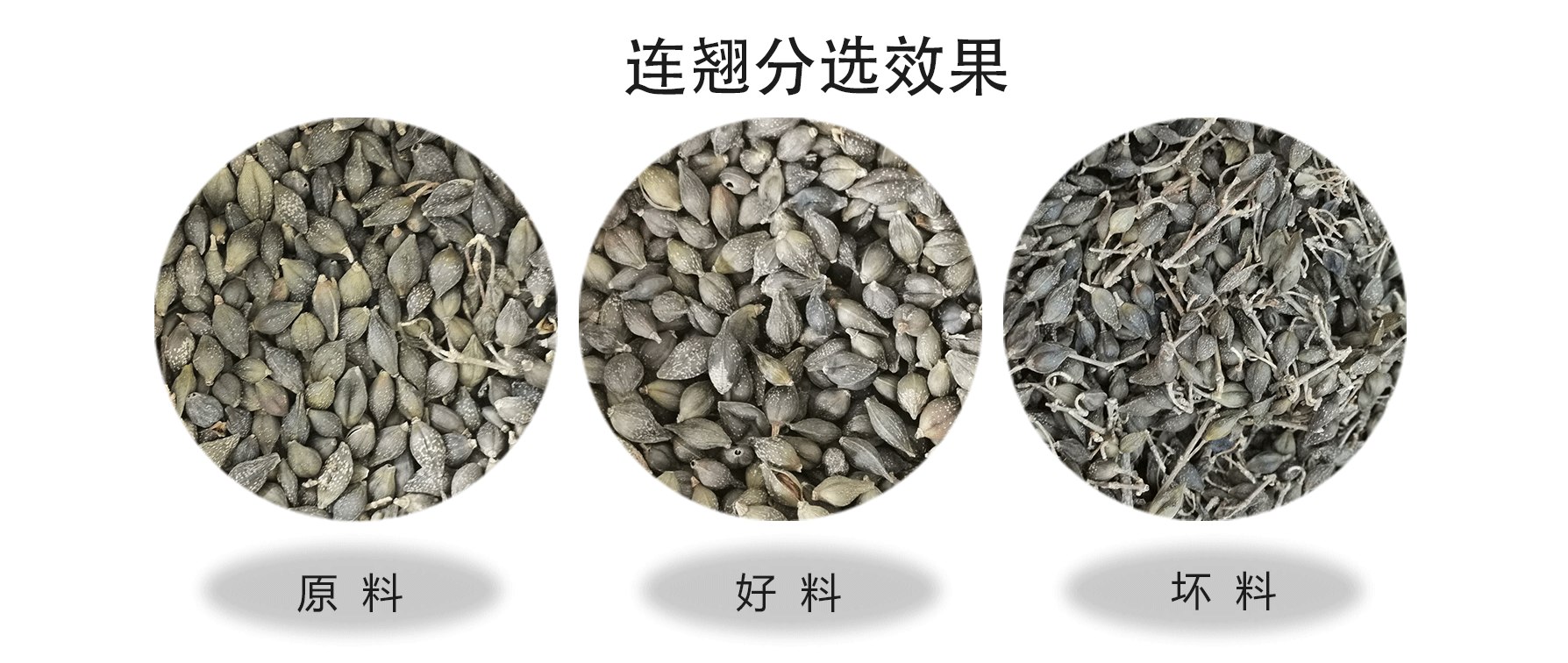 色选机|食品色选机|再生资源色选机|矿石色选机|履带色选机