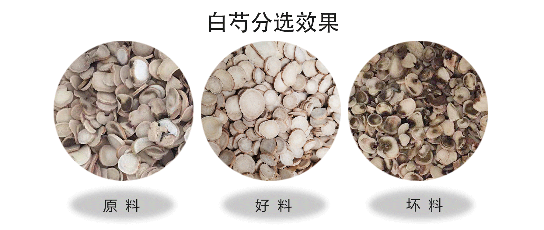 色选机|食品色选机|再生资源色选机|矿石色选机|履带色选机