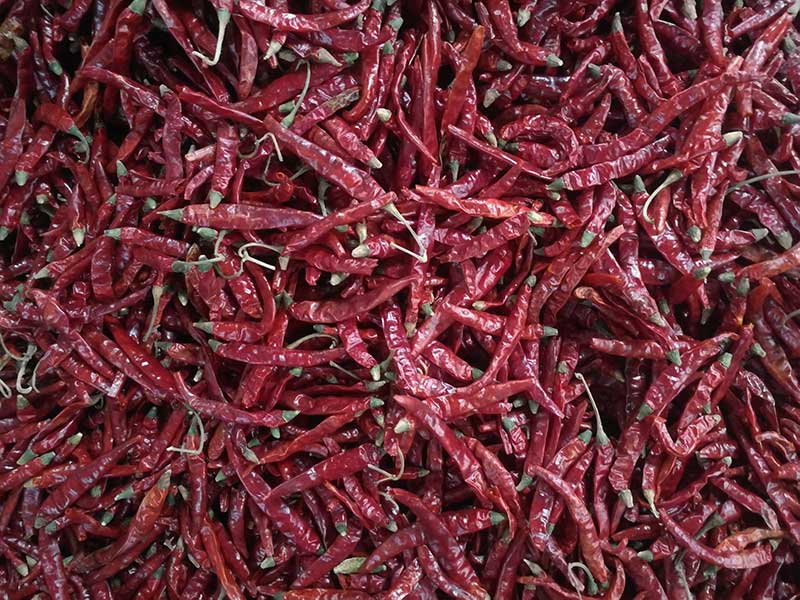 印度-辣椒-Sharma-5041处，辣椒选把，原料.jpg