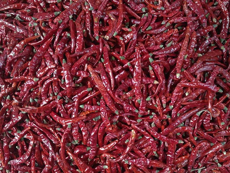 印度-辣椒-Sharma-5041处，辣椒选把，好料.jpg