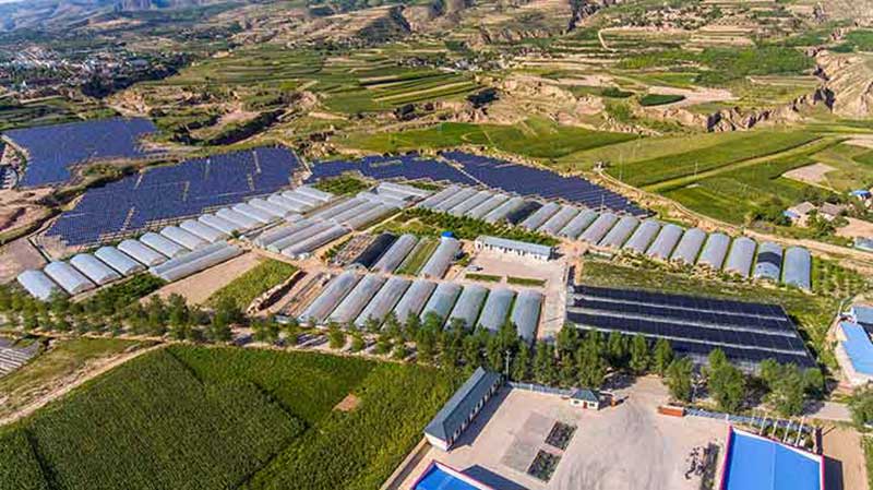 色选机|食品色选机|再生资源色选机|矿石色选机|履带色选机