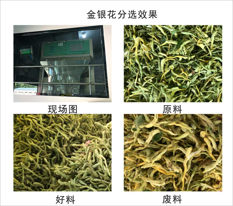 色选机|食品色选机|再生资源色选机|矿石色选机|履带色选机