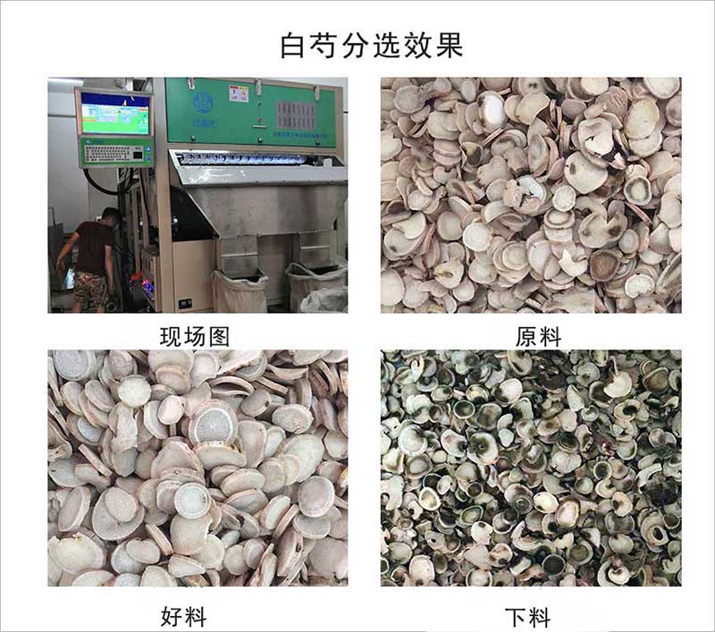 色选机|食品色选机|再生资源色选机|矿石色选机|履带色选机