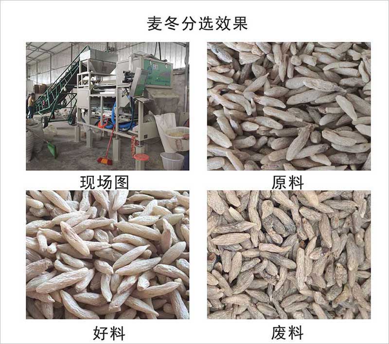 色选机|食品色选机|再生资源色选机|矿石色选机|履带色选机