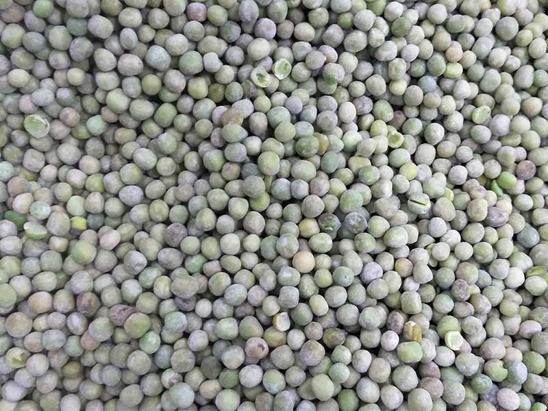 色选机|食品色选机|再生资源色选机|矿石色选机|履带色选机