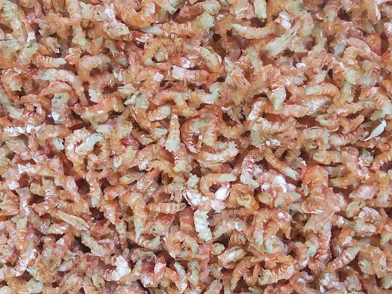 色选机|食品色选机|再生资源色选机|矿石色选机|履带色选机