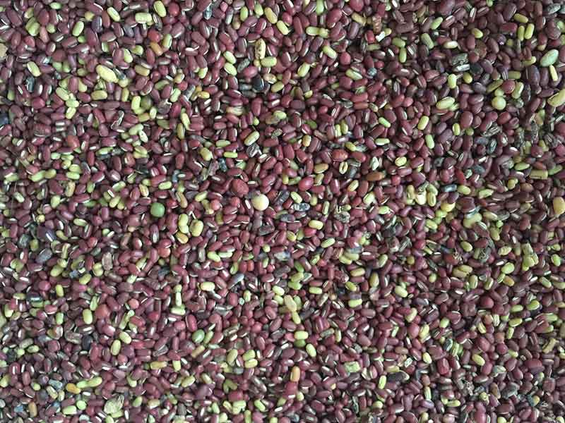 色选机|食品色选机|再生资源色选机|矿石色选机|履带色选机