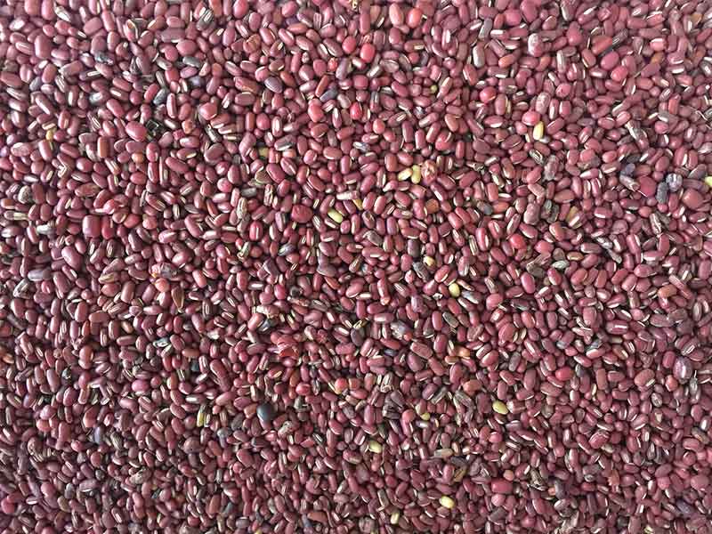 色选机|食品色选机|再生资源色选机|矿石色选机|履带色选机