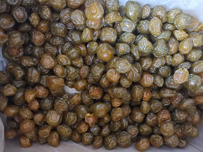 色选机|食品色选机|再生资源色选机|矿石色选机|履带色选机