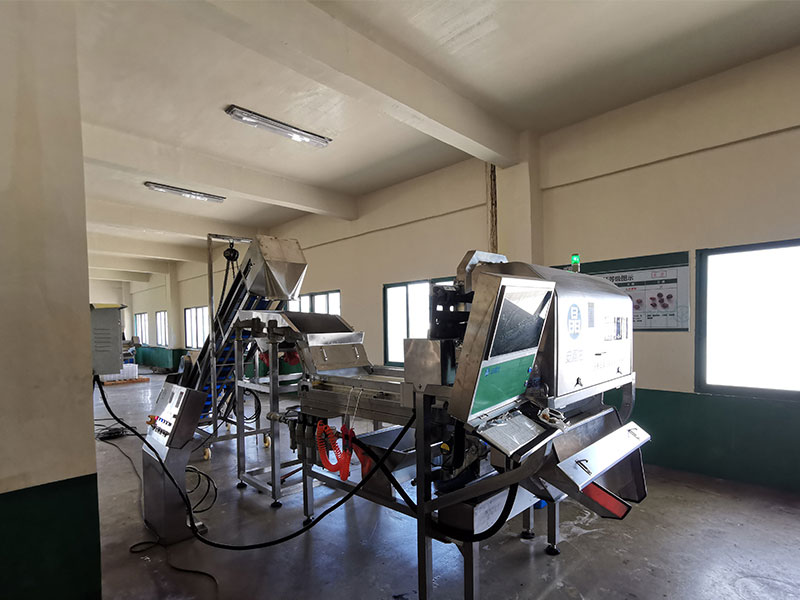 色选机|食品色选机|再生资源色选机|矿石色选机|履带色选机