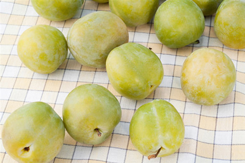 色选机|食品色选机|再生资源色选机|矿石色选机|履带色选机