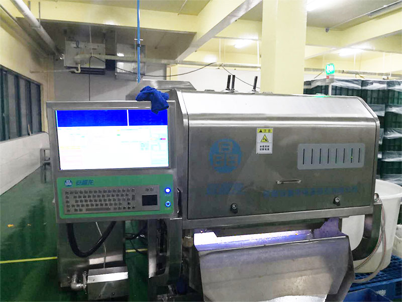 色选机|食品色选机|再生资源色选机|矿石色选机|履带色选机