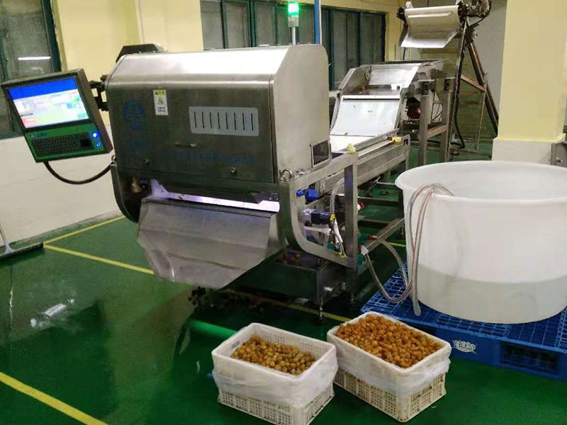 色选机|食品色选机|再生资源色选机|矿石色选机|履带色选机