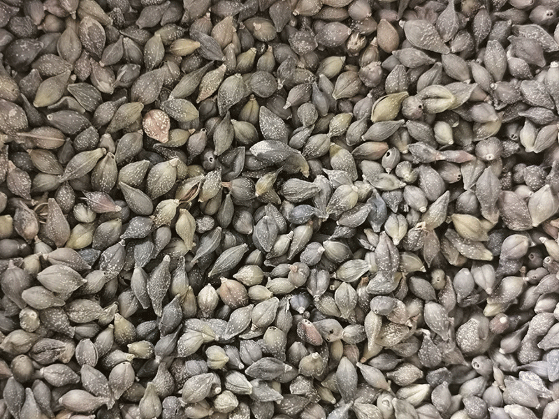 色选机|食品色选机|再生资源色选机|矿石色选机|履带色选机