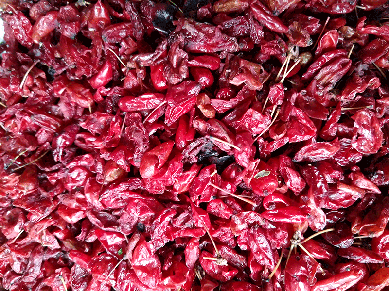 色选机|食品色选机|再生资源色选机|矿石色选机|履带色选机