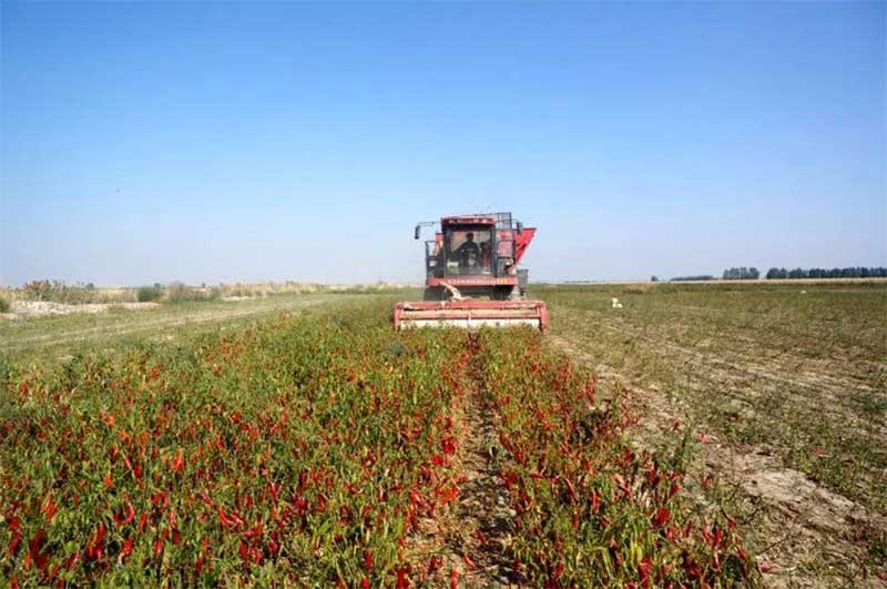 色选机|食品色选机|再生资源色选机|矿石色选机|履带色选机