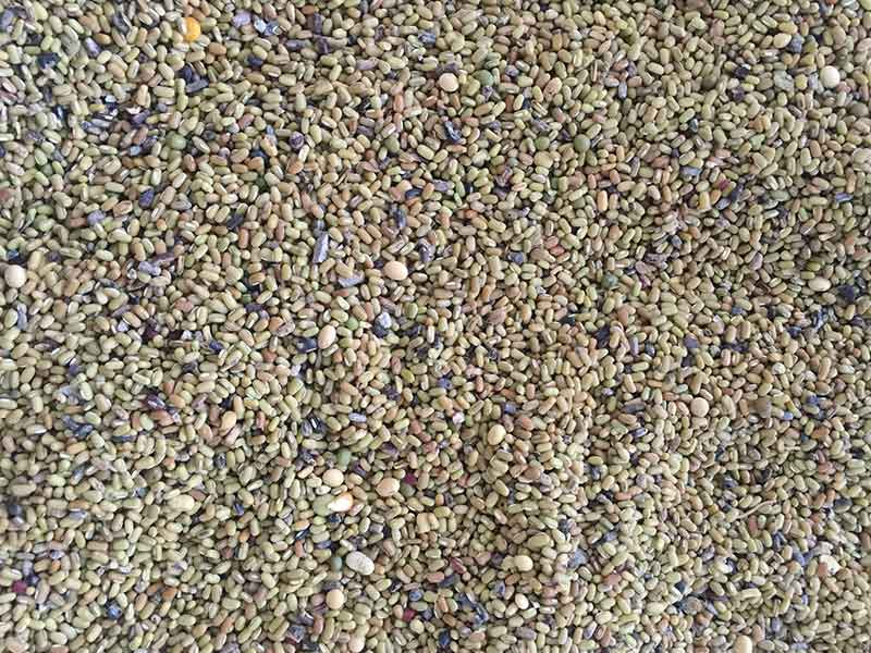 色选机|食品色选机|再生资源色选机|矿石色选机|履带色选机