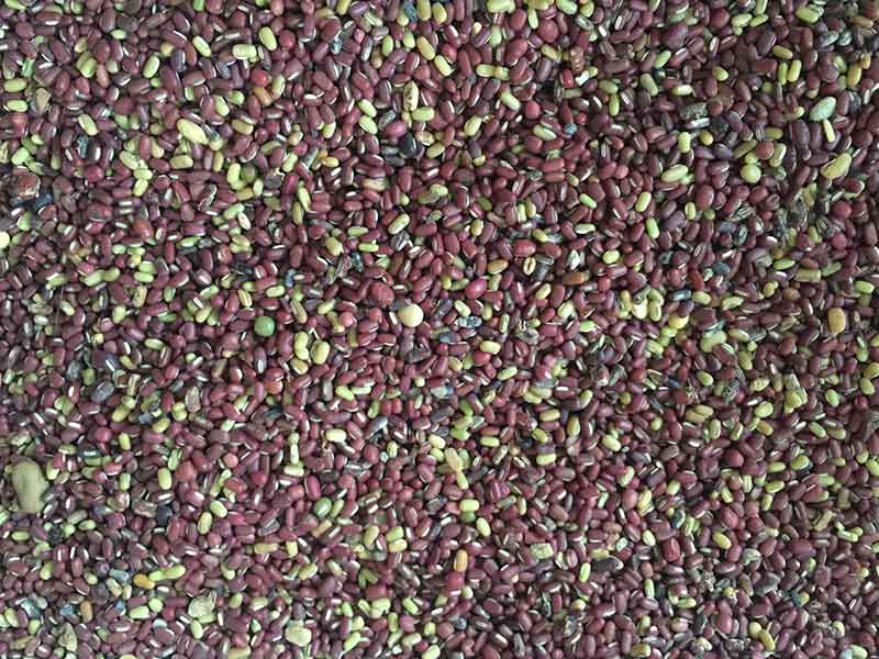 色选机|食品色选机|再生资源色选机|矿石色选机|履带色选机