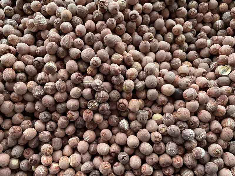 色选机|食品色选机|再生资源色选机|矿石色选机|履带色选机