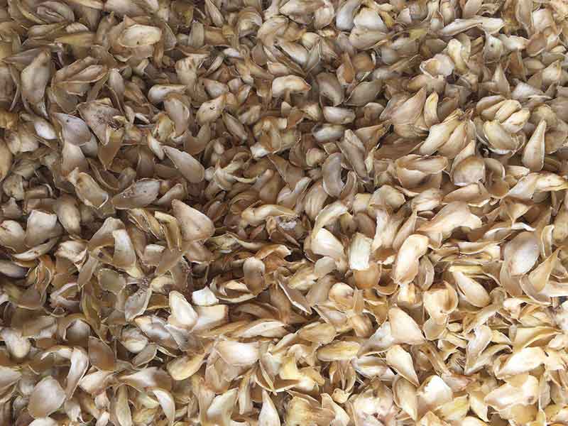 色选机|食品色选机|再生资源色选机|矿石色选机|履带色选机