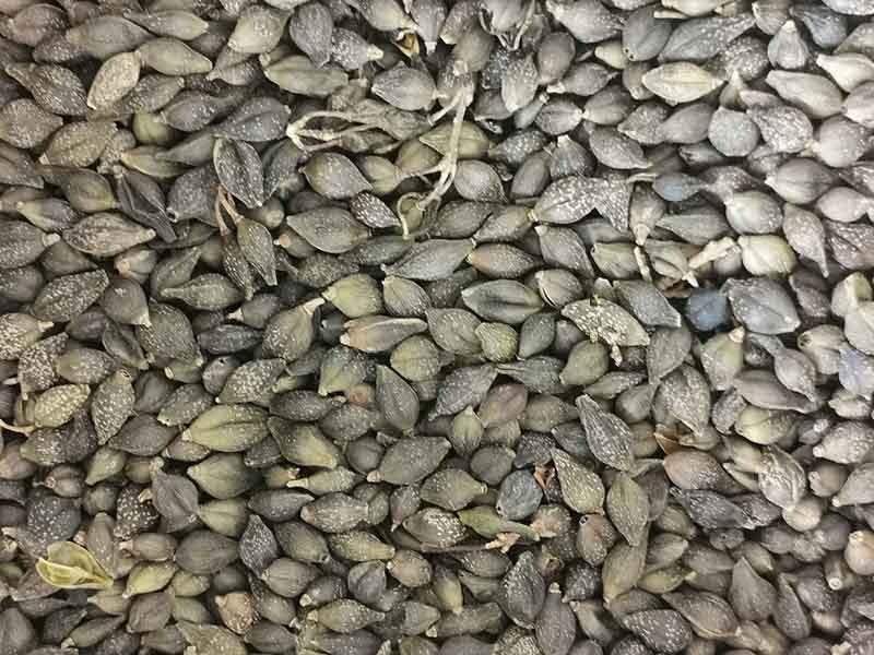 色选机|食品色选机|再生资源色选机|矿石色选机|履带色选机