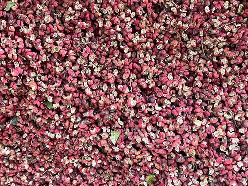 色选机|食品色选机|再生资源色选机|矿石色选机|履带色选机