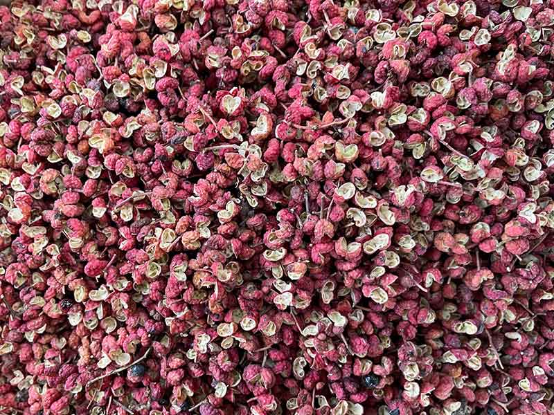 色选机|食品色选机|再生资源色选机|矿石色选机|履带色选机