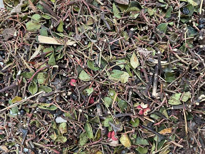 色选机|食品色选机|再生资源色选机|矿石色选机|履带色选机